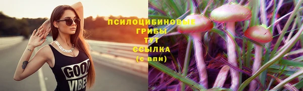 таблы Мегион