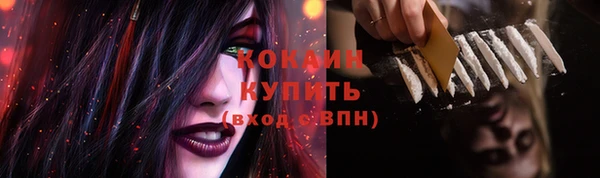 шишки Михайловск