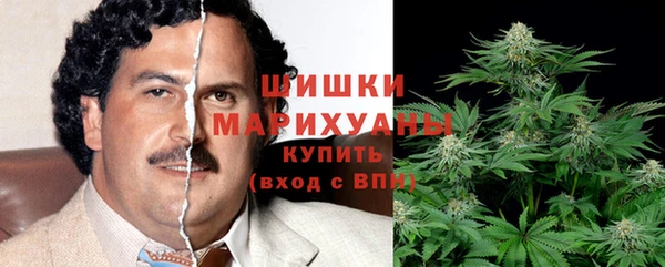 шишки Михайловск