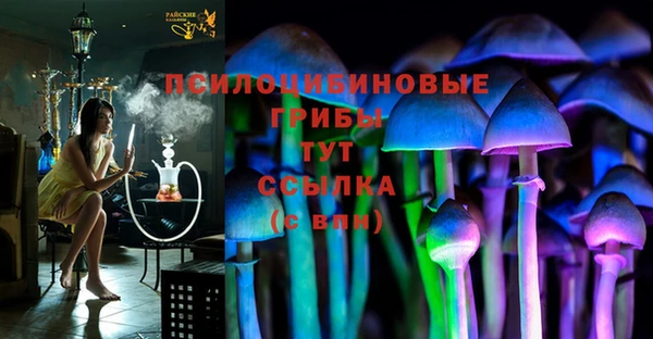 шишки Михайловск