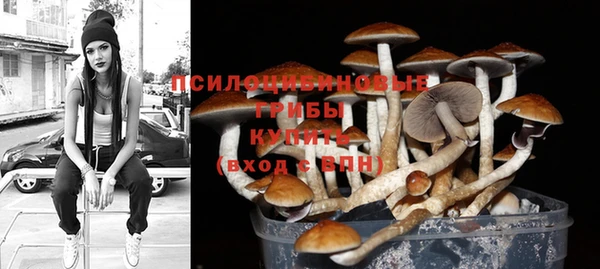 дурь Медногорск