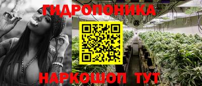 МДПВ Кандалакша