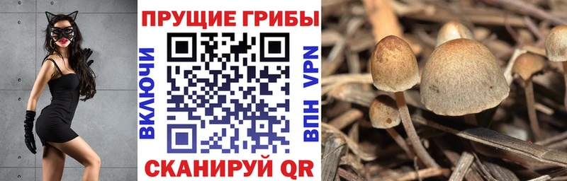 Псилоцибиновые грибы Magic Shrooms  Тамбов 