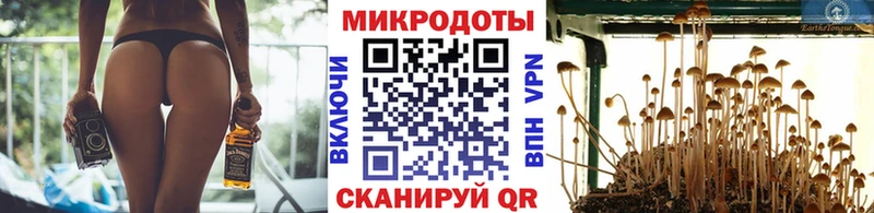 Галлюциногенные грибы Cubensis Тамбов