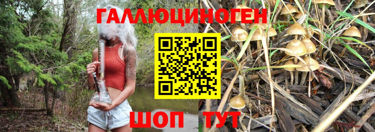 Тамбов  Галлюциногенные грибы Cubensis  Галлюциногенные грибы мицелий  купить наркотики сайты  Вход с VPN 