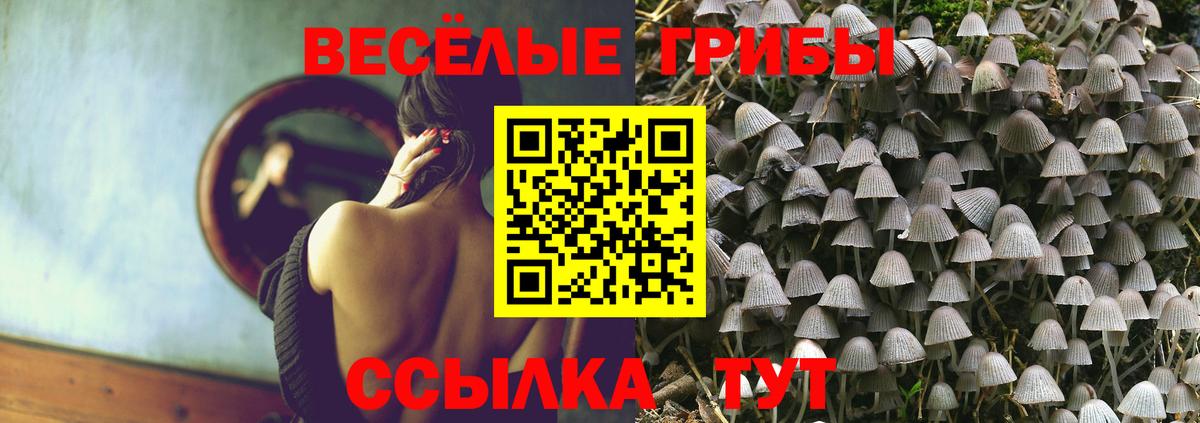 Галлюциногенные грибы ЛСД Тамбов